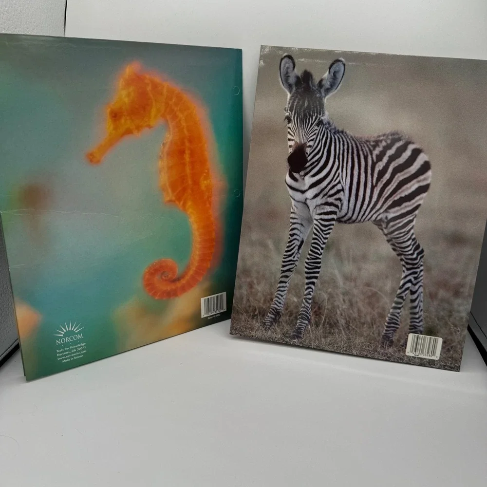 Vintage Norcom 2 Pocket Folders Set Seahorse and Zebra Animal School Supply